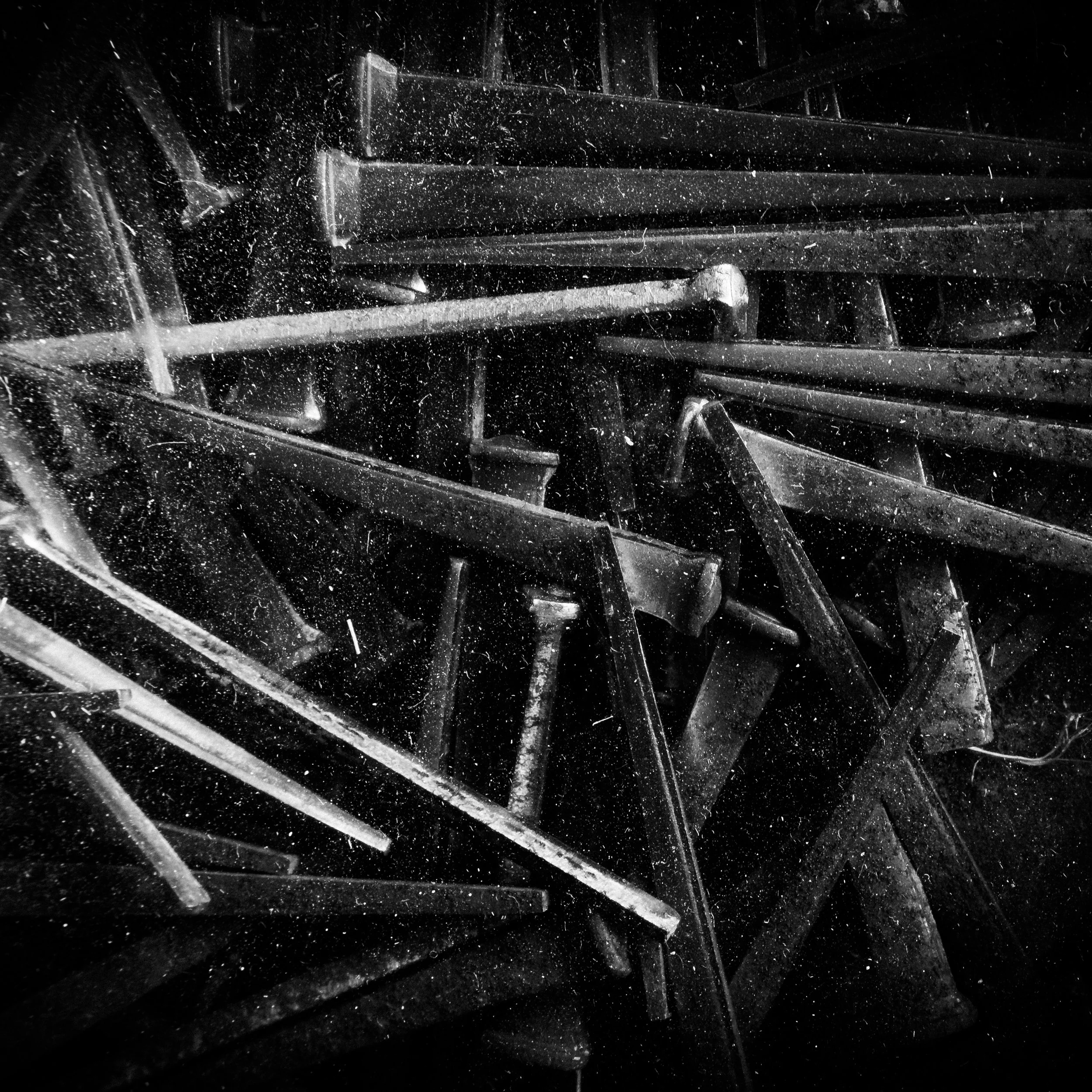 DSCF0645.jpg