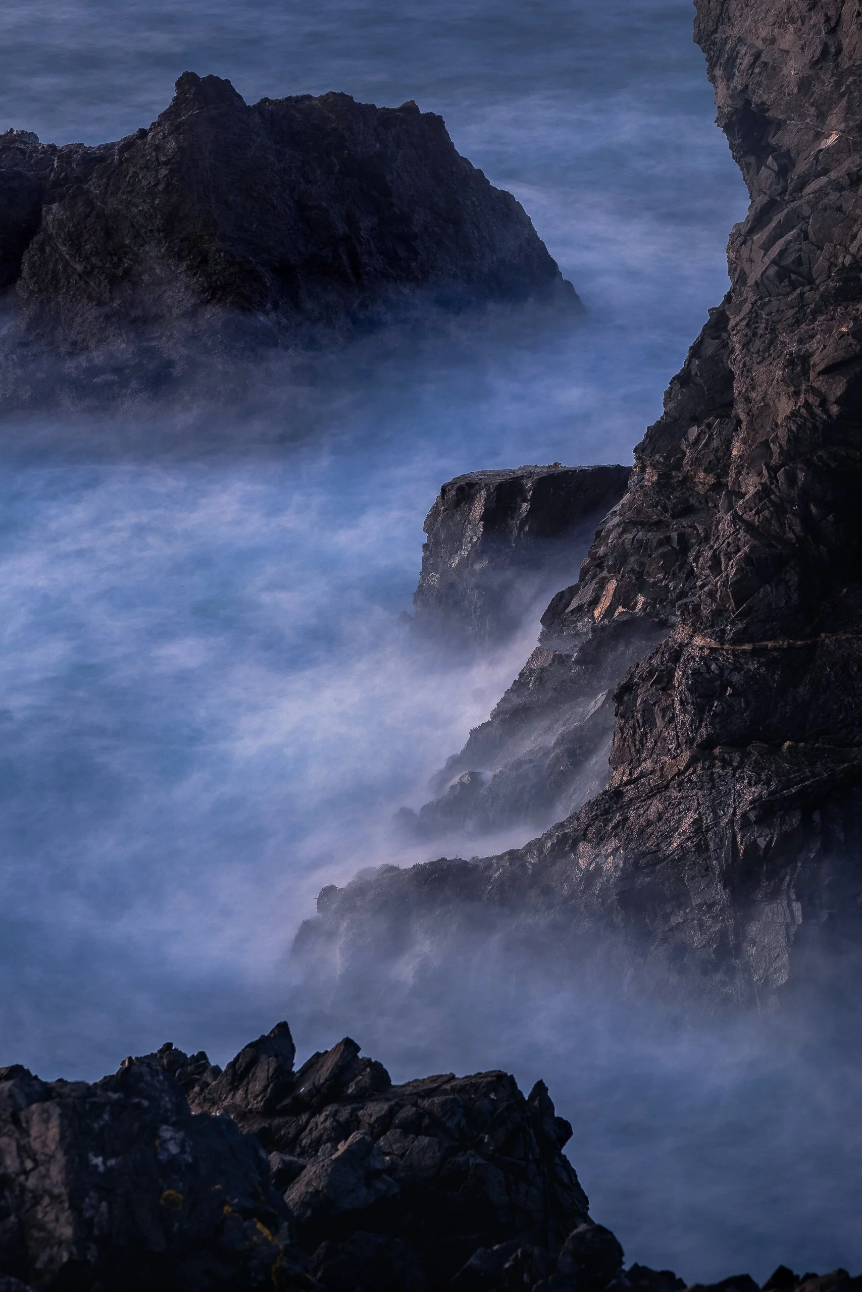 mendocino headlands, 2022