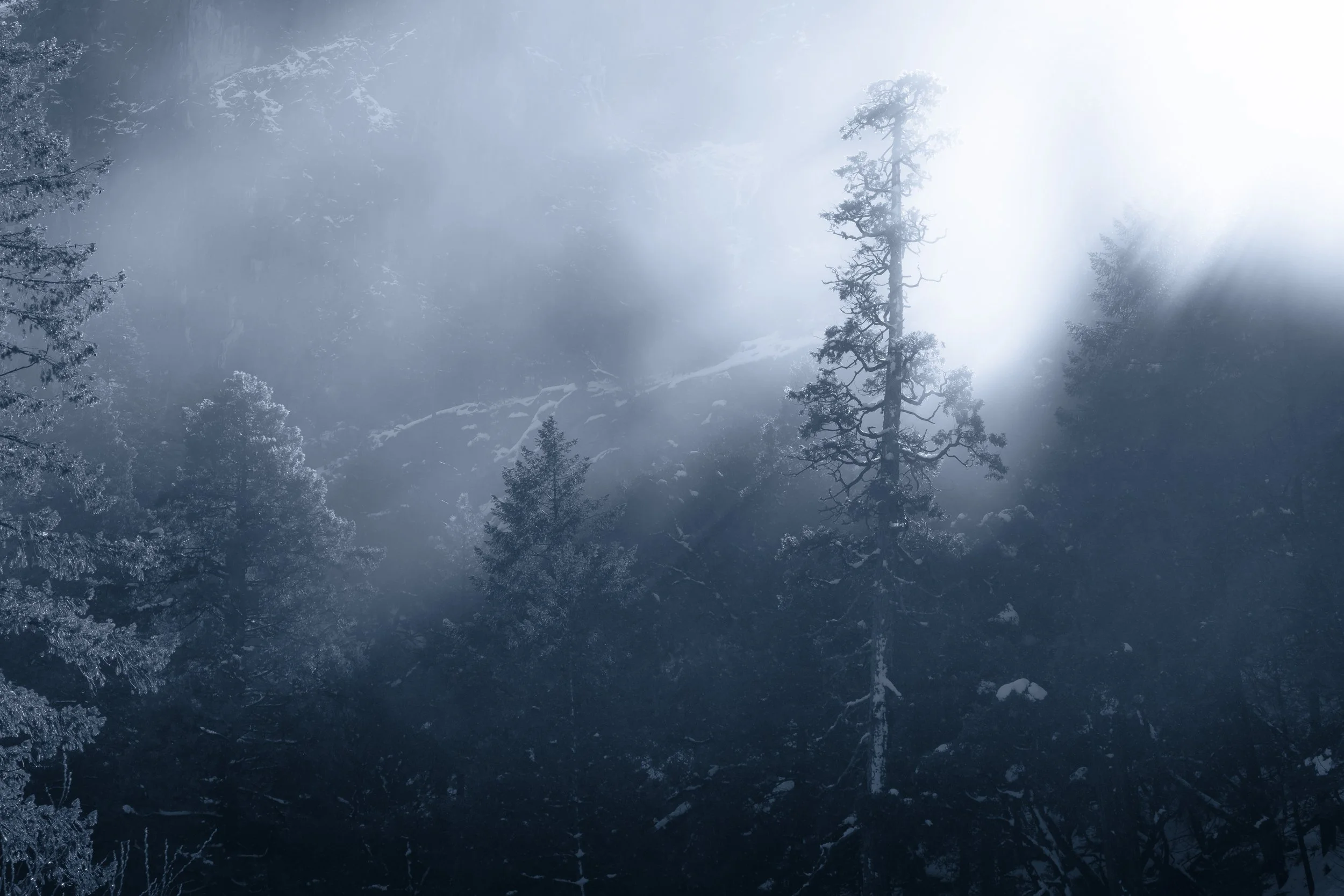 yosemite national park, 2024