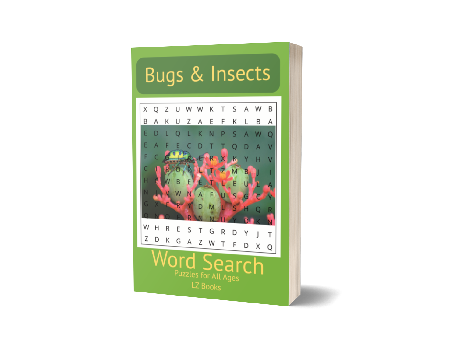 Bugs & Insects Word Search Book Cover, Large Print — LZ Books
