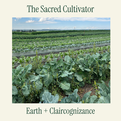 earth+clairscognizance - The Sacred Cultivator.png