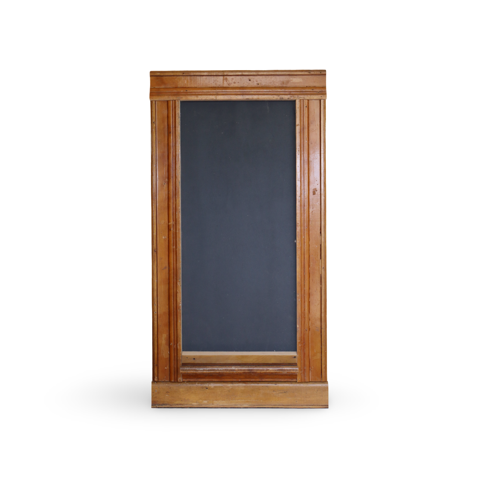 Lizard