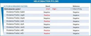 A table showing Helicobacter pylori test results for various virulence factors, with some marked positive or negative and highlighting high risk levels for certain factors.