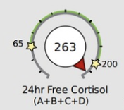 Gauge displaying 24-hour free cortisol levels with a needle pointing to approximately 263, between 200 and 265, with colored zones and star icons at 65 and 200.