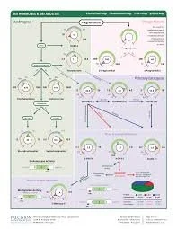 Flowchart diagram illustrating a decision-making or process flow with multiple steps, arrows, and circular nodes, containing labels and color-coded sections.