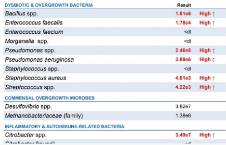 A table listing different bacteria species, with columns showing bacteria names, their results, and a high or low result indicator.