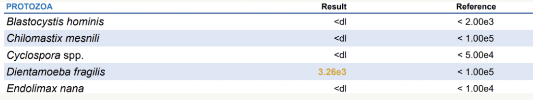 Table listing various protozoa species with test results. Dientamoeba fragilis has a result of 3.26 million.