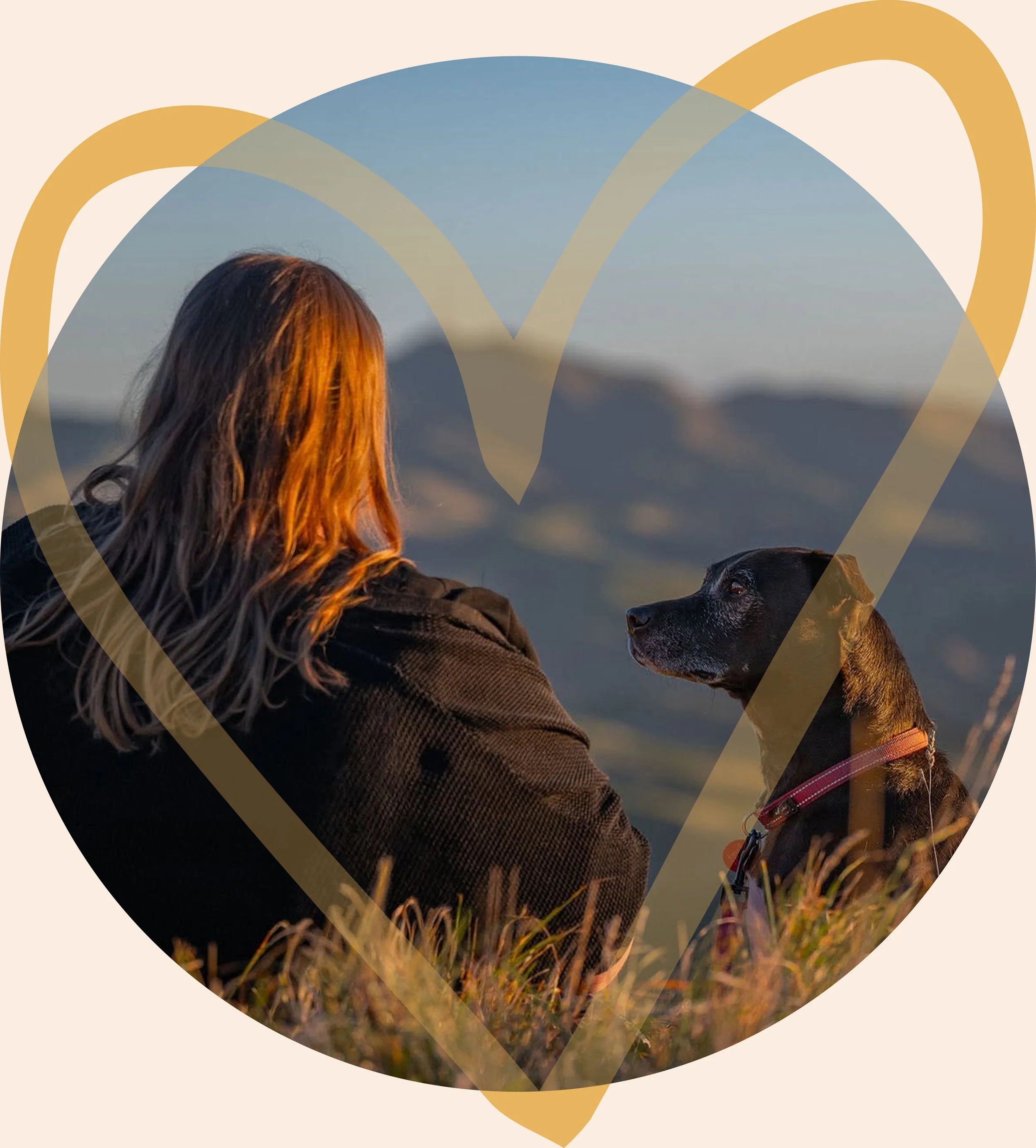 Meet Em, the owner and photographer and her dog — Wildlight Pet Co, Hawke's Bay