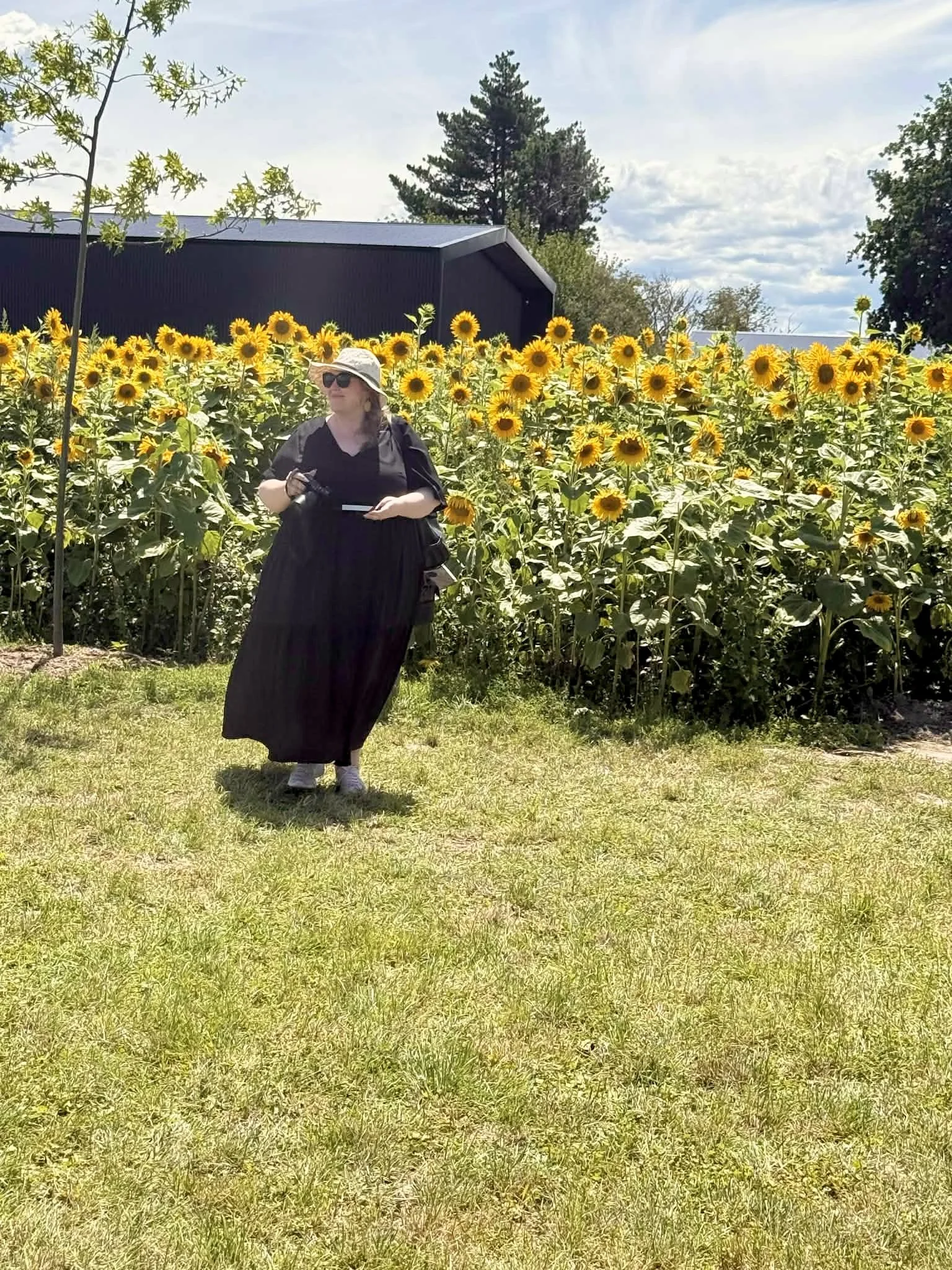 A woman in a black dress and wide-brimmed hat standing near a sunflower field on a sunny day.