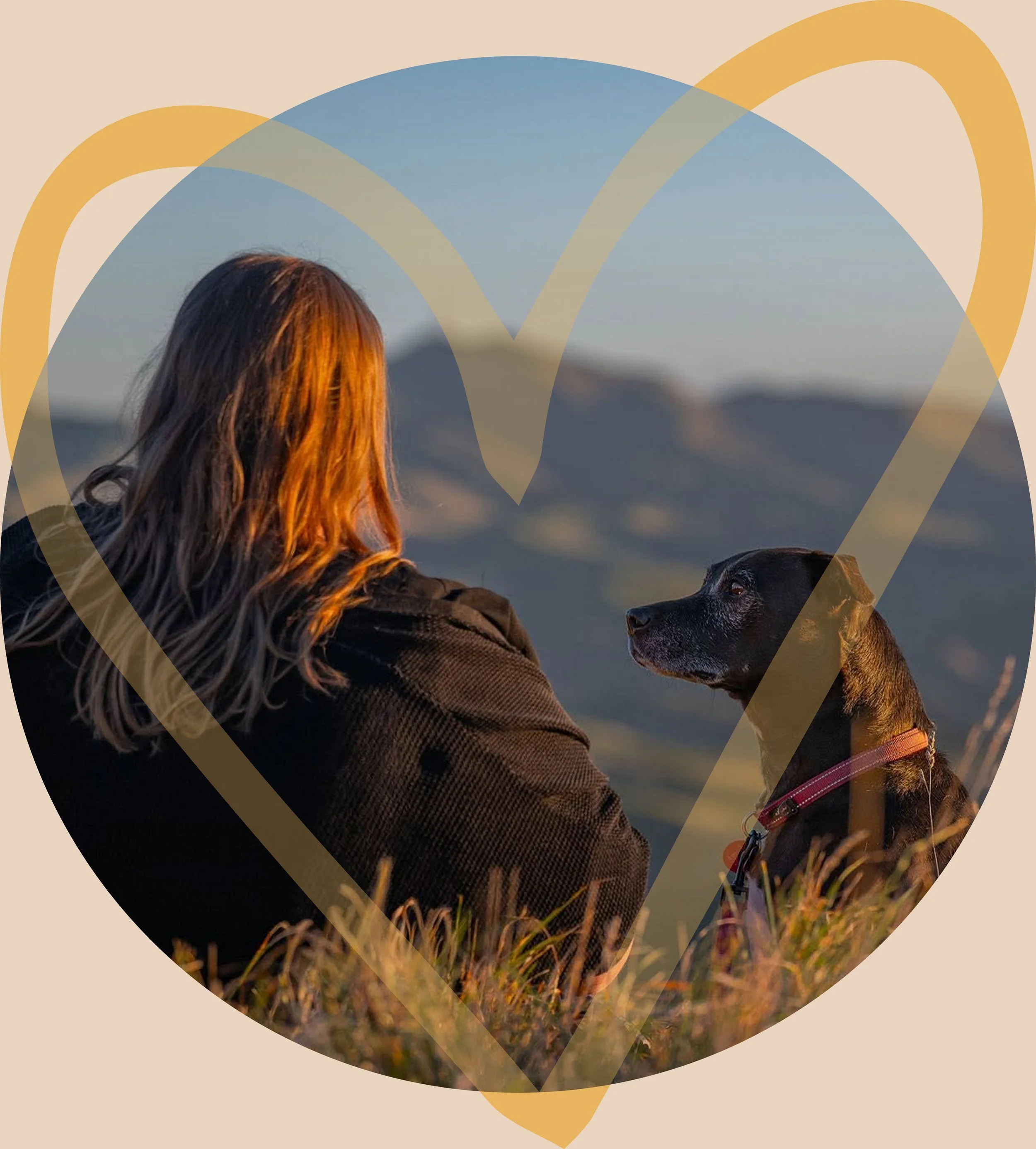 Meet Em, the owner and photographer and her dog — Wildlight Pet Co, Hawke's Bay