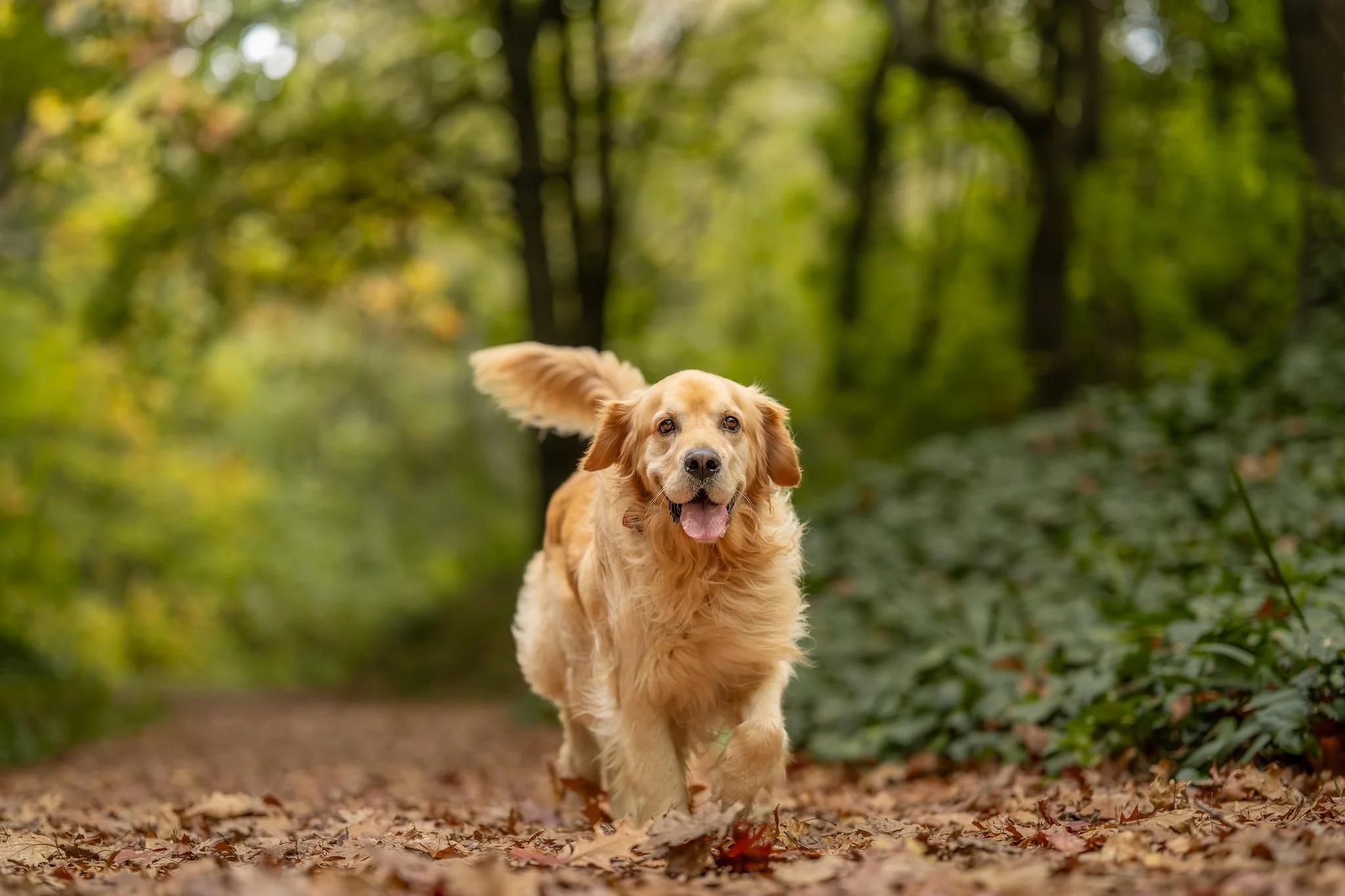 Autumn Otis 26.jpg