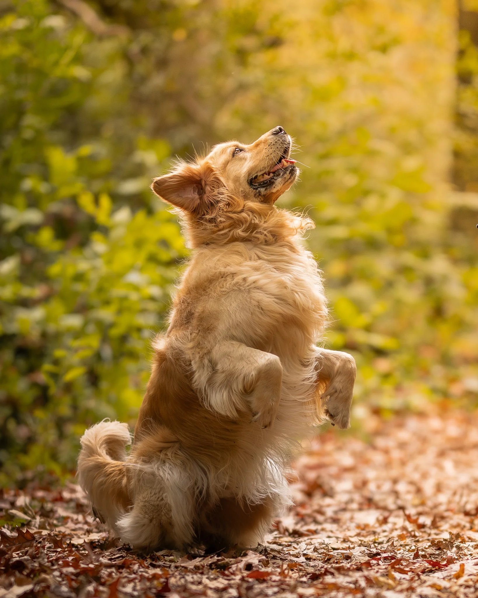 Autumn Otis 9.jpg