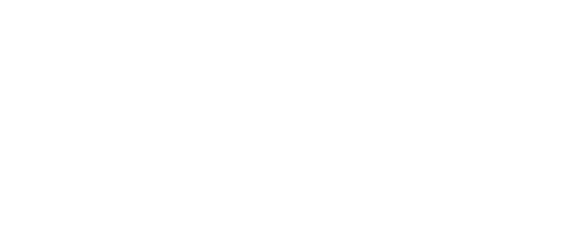 Wildlight Pet Co