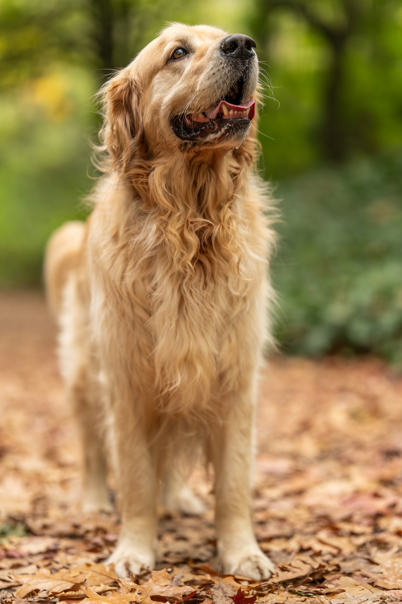Autumn Otis 27.jpg