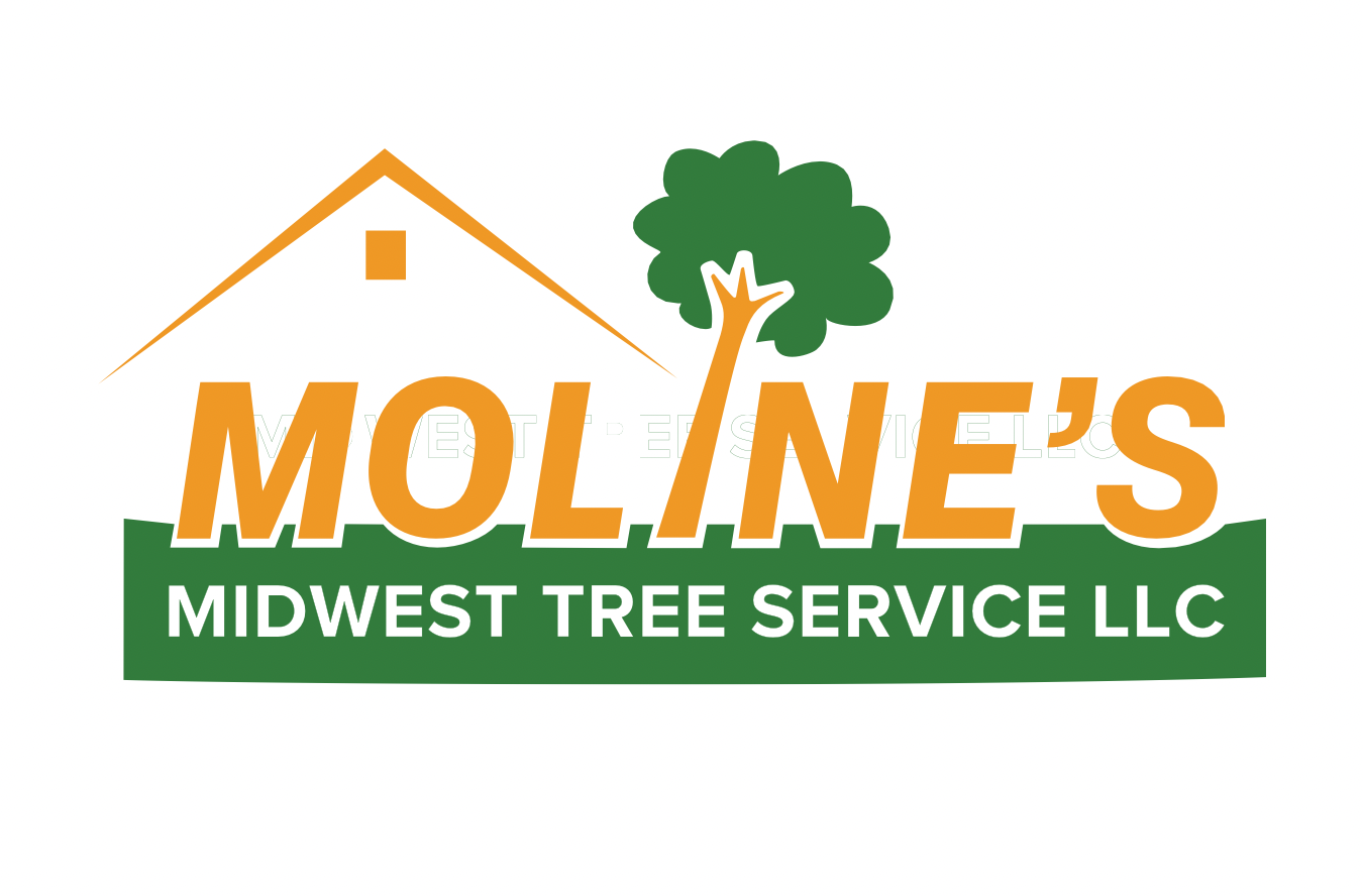 Moline's Midwest Tree Service LLC