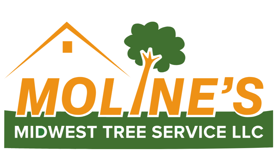 Moline's Midwest Tree Service LLC