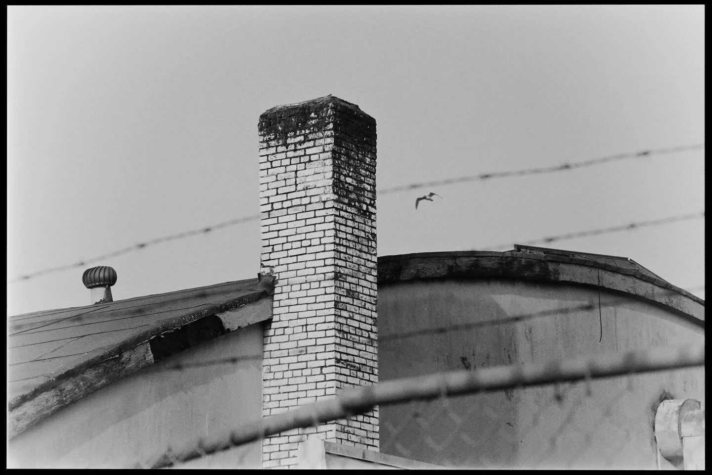 East Vancouver. Kentmere 400. Yellow Filter. Canon FTB QL. FD 135mm.