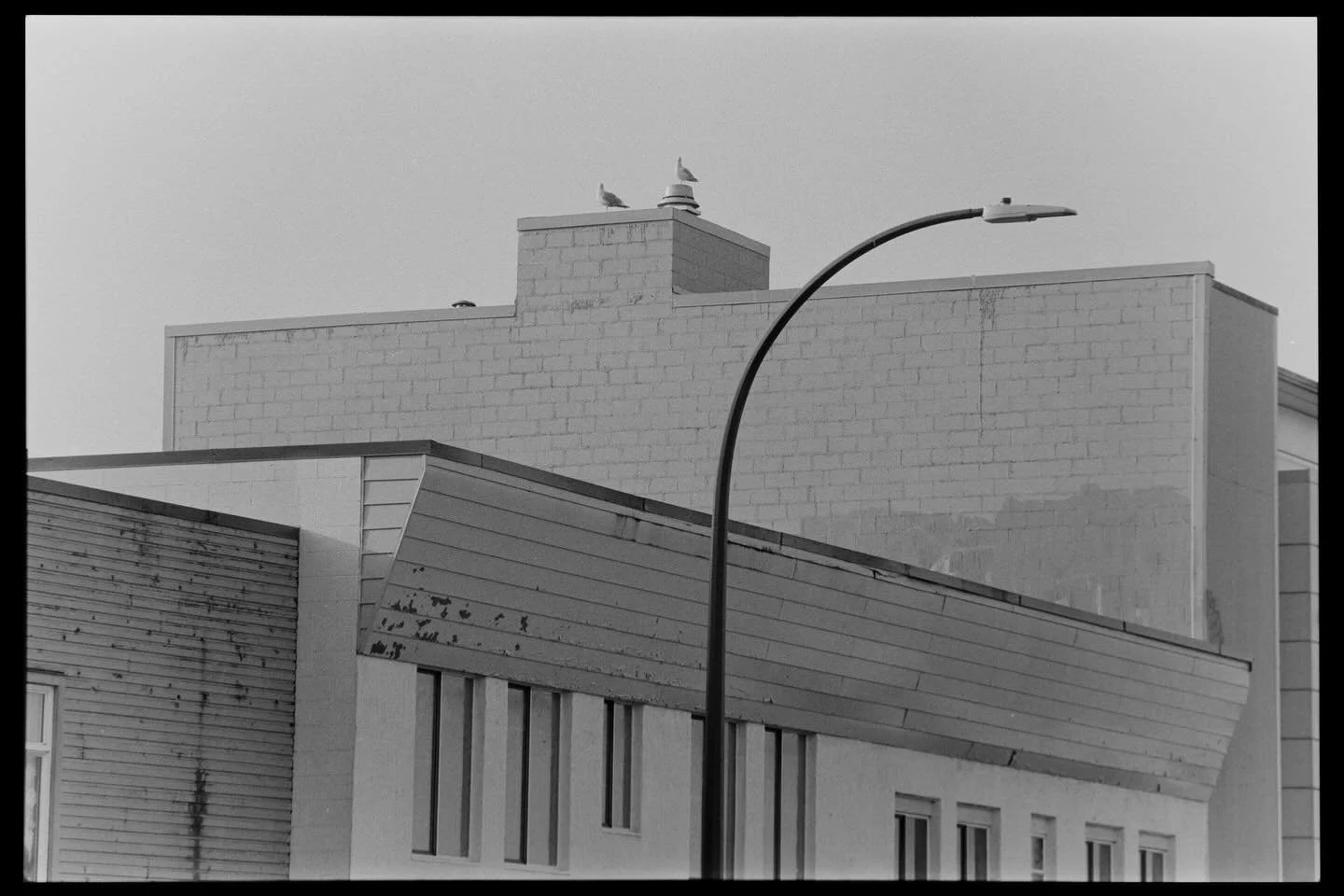 East Vancouver.  Kentmere 400. Canon FTB QL FD 135 mm