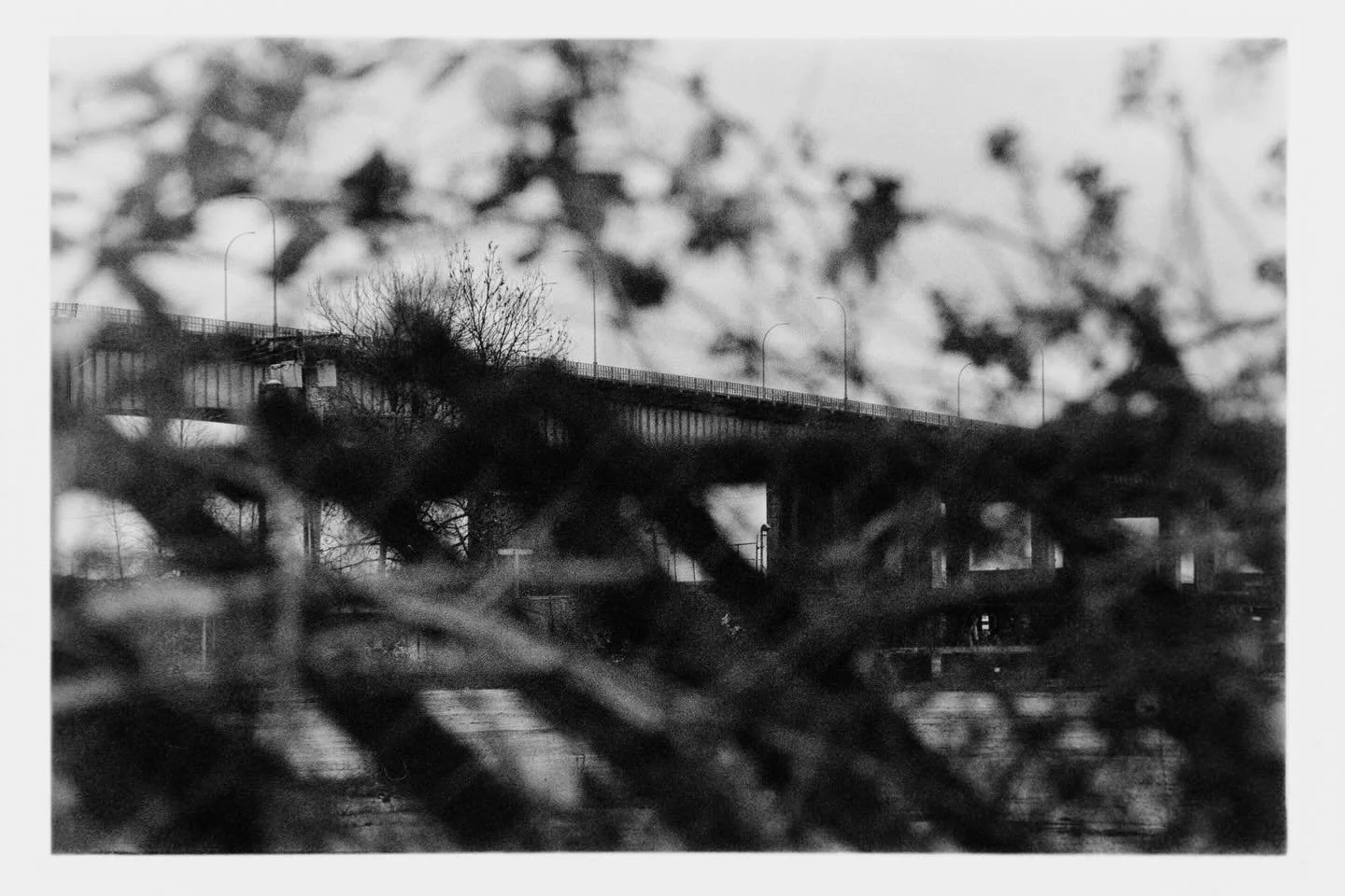 Expired Lucky 400. Big grain in the foreground out of focus bits. Love it.