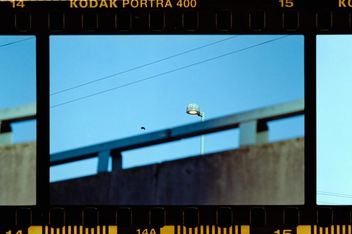 Expired Portra 400. First time developing color negatives. C-41 at home Flick Film.