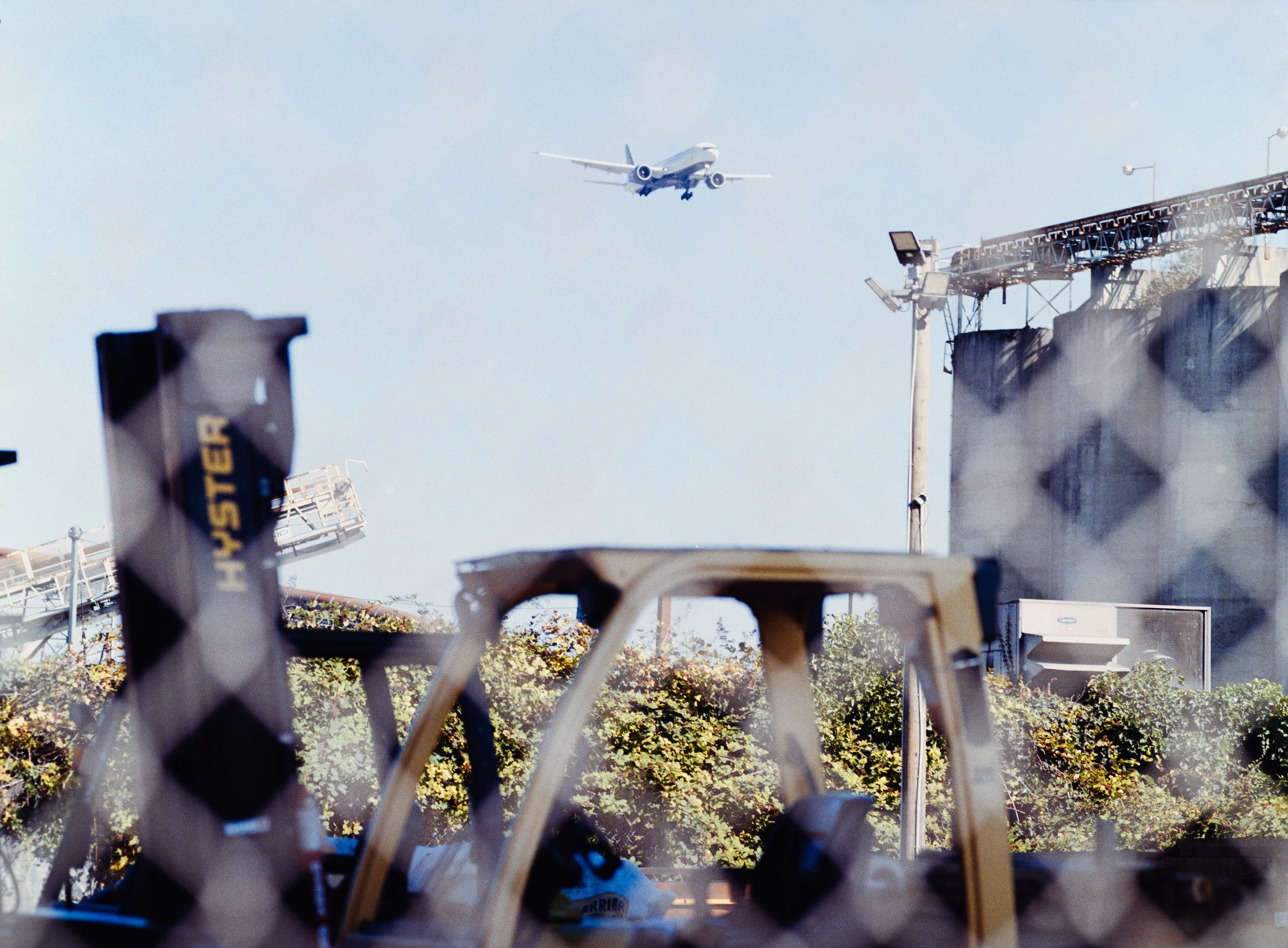 14DCA3D8-9587-4C25-B65D-D21CE70E68D0.jpeg