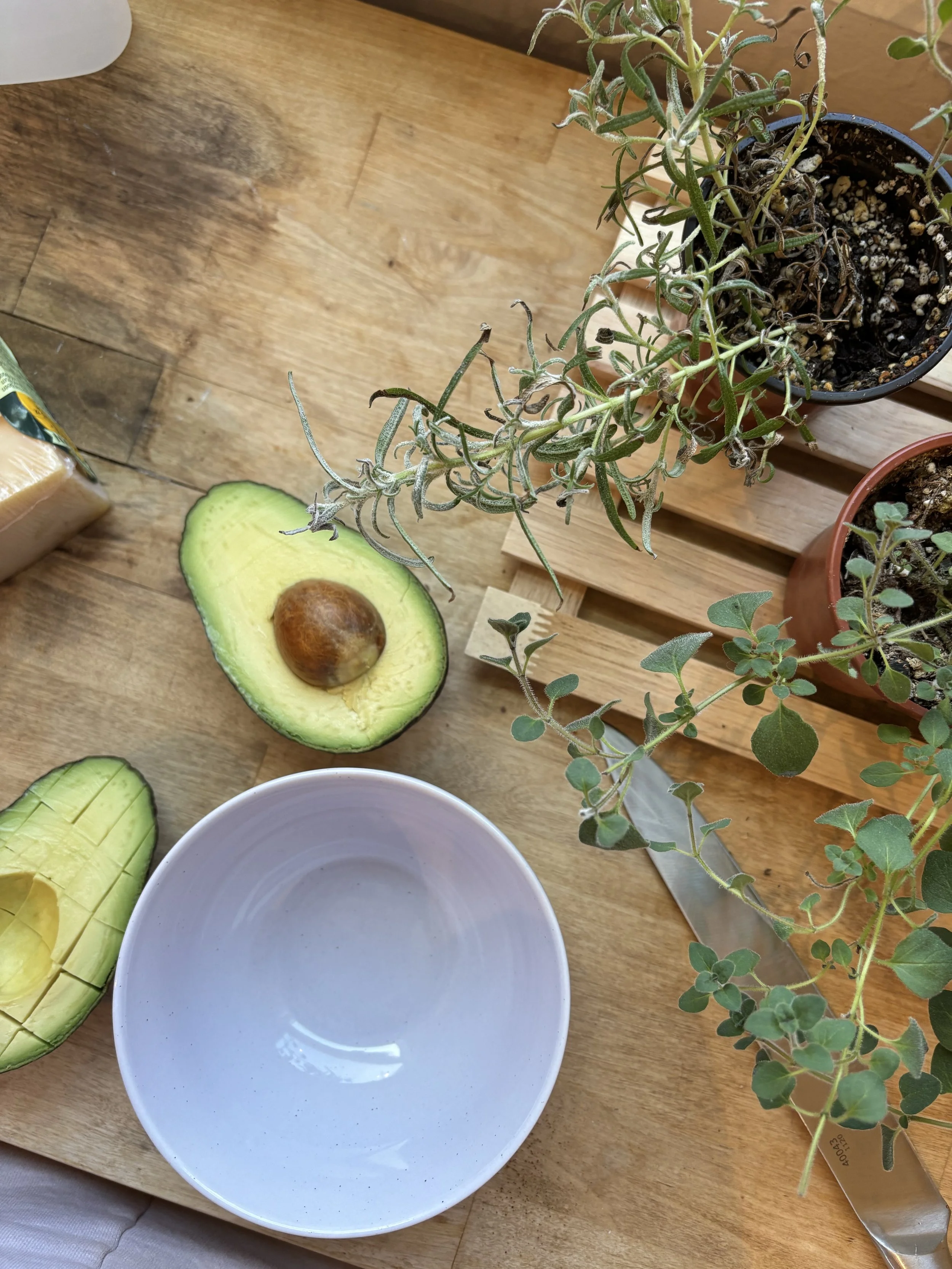 Do You Have SIBO? How to Know &amp; What to Do About It