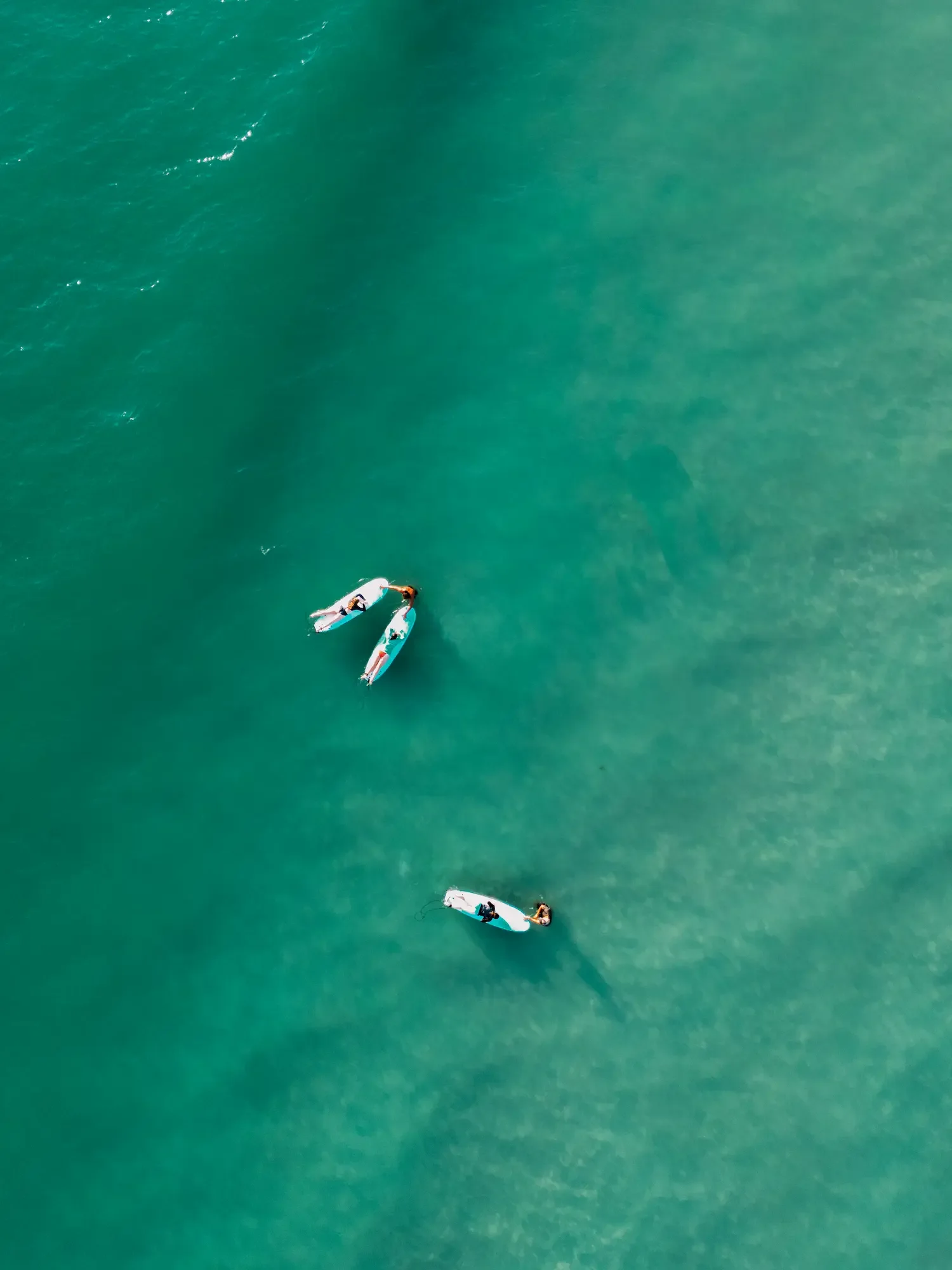 surf lessons in Sayulita Mexico — Marea Surf School