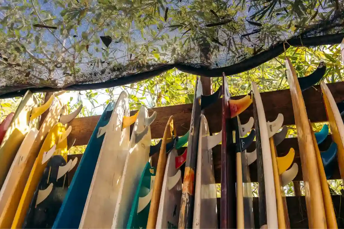 Boardrentals Marea surf School