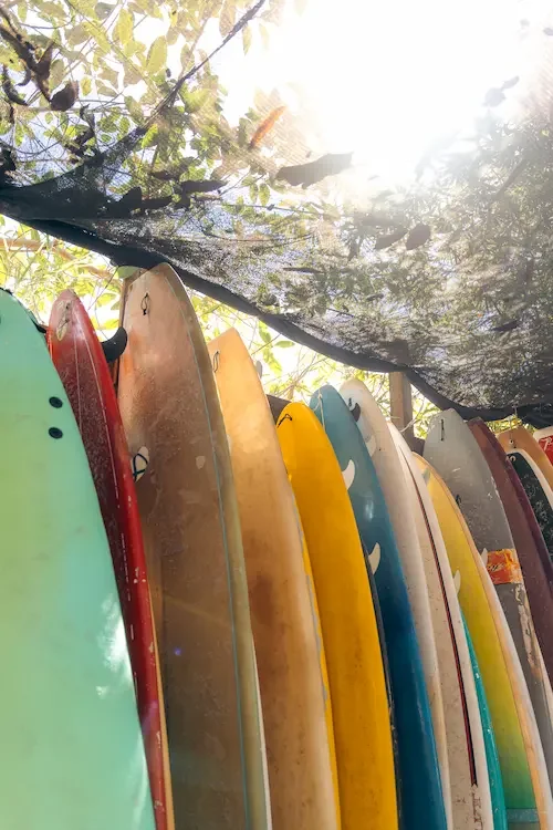 soft top surfboard rental beginner Sayulita — Marea Surf School