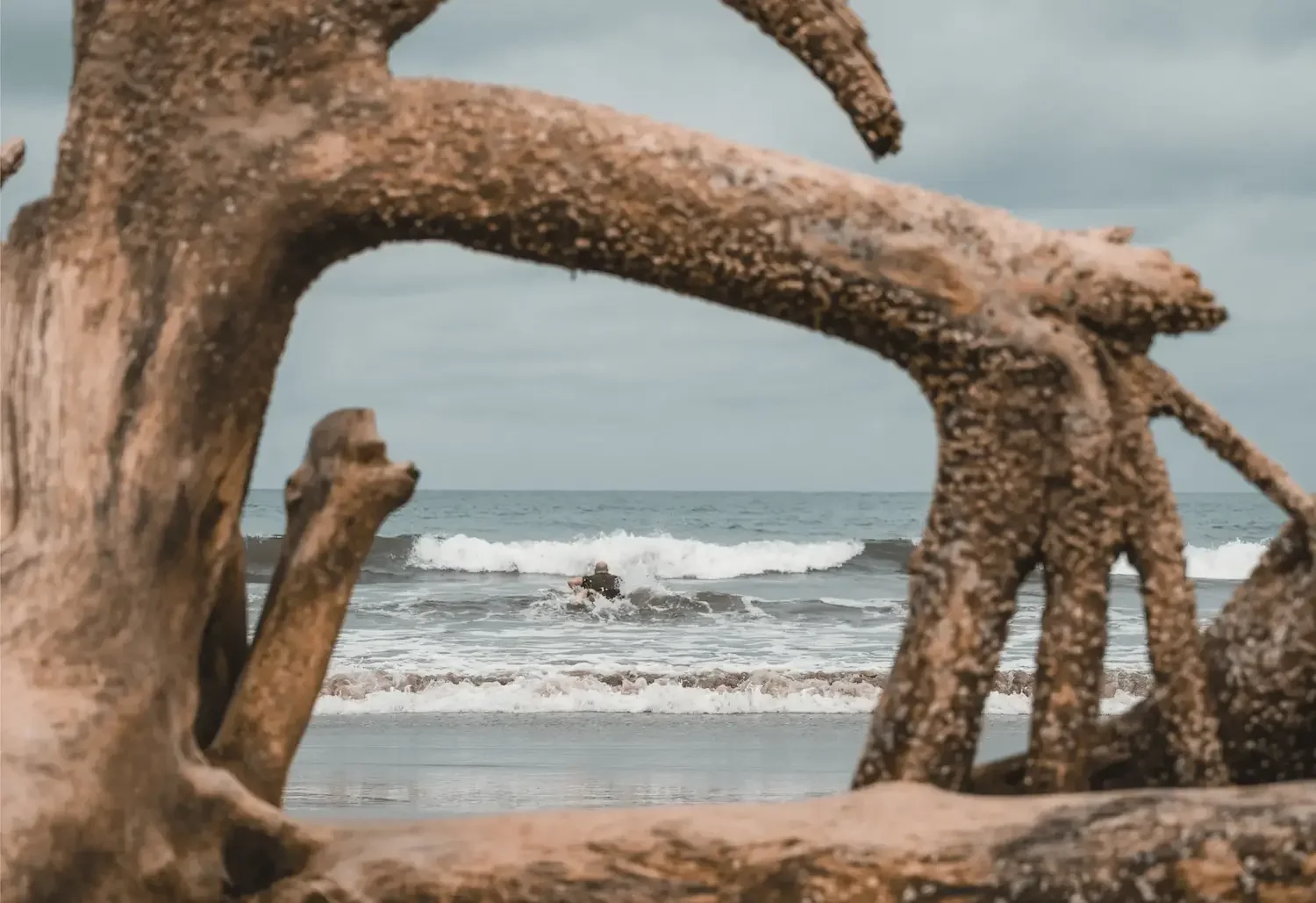 sayulita surf break marea surf school