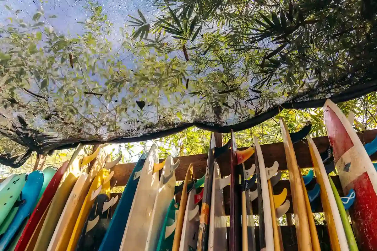 Boardrentals - marea surf school