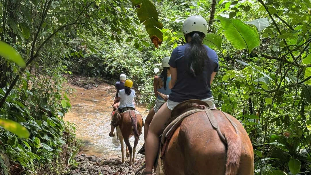 tocori_horseback-05.jpg