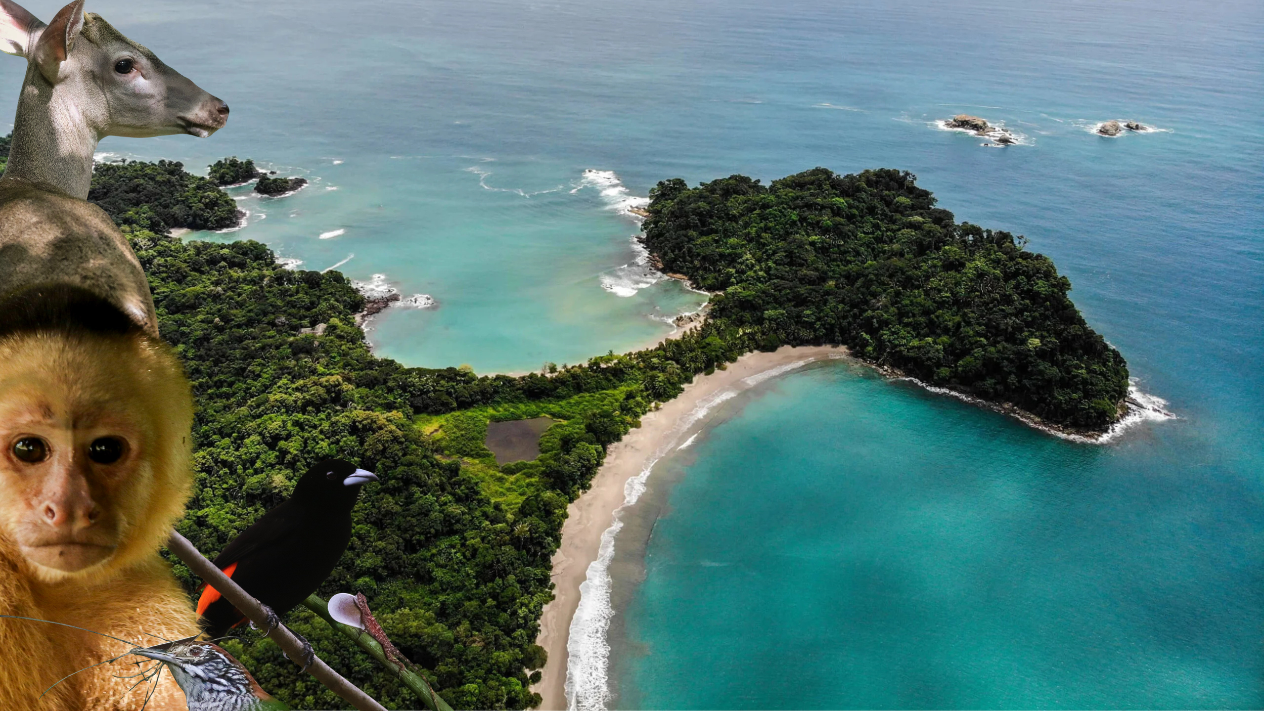 Manuel Antonio National Park