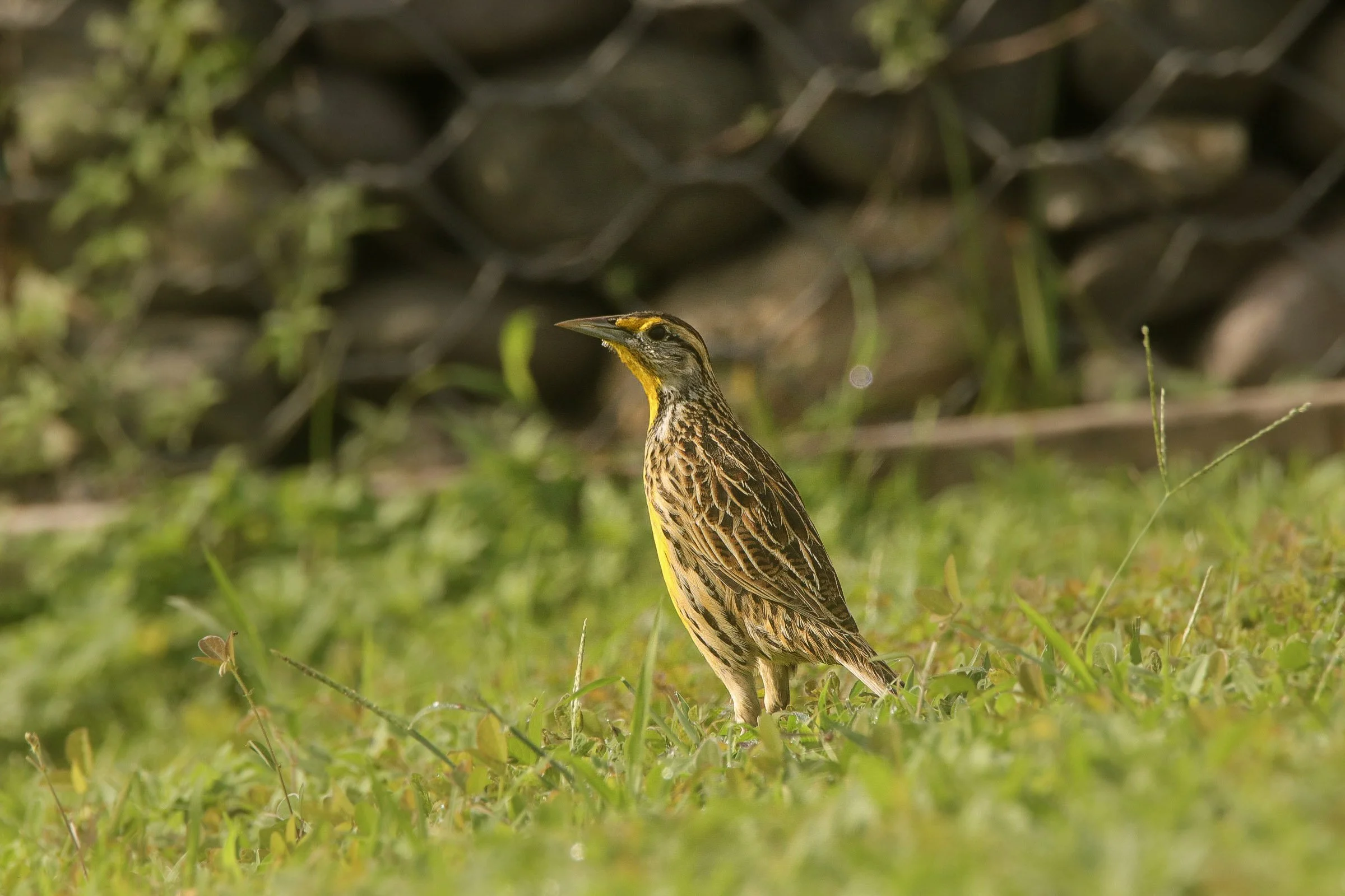 215-IMG_7165.jpg