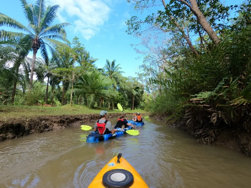 Mangrove Kayak / Boat