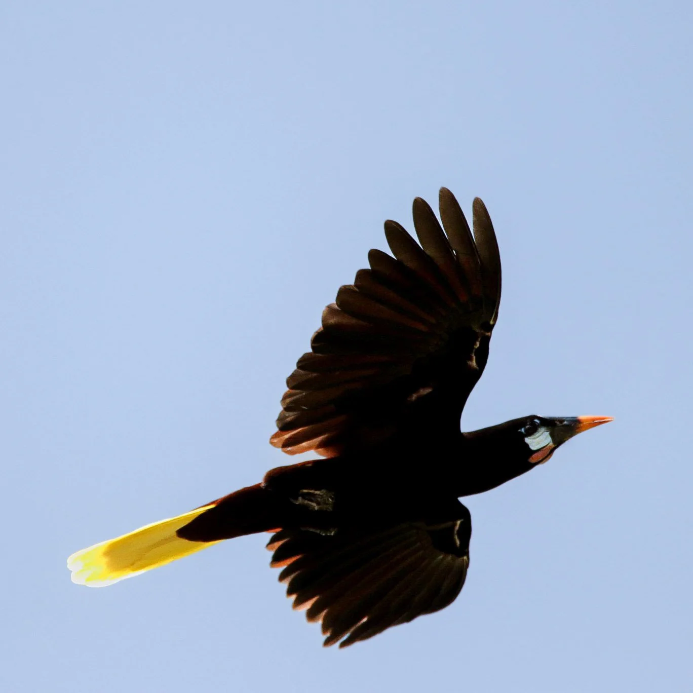 69-IMG_3940.jpg