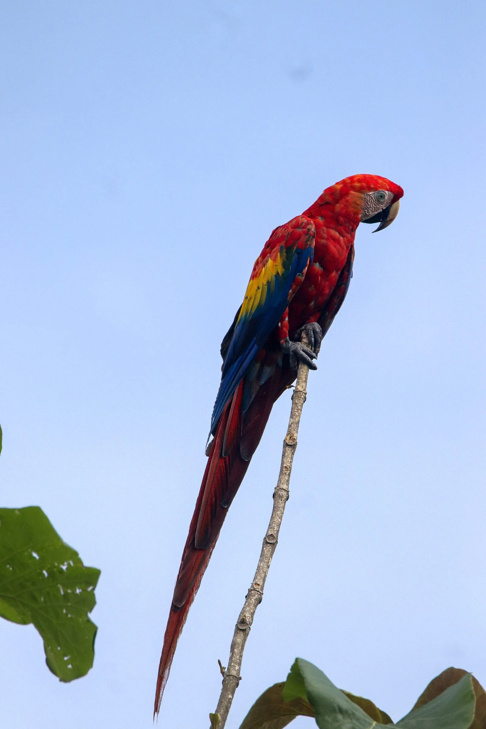 260-IMG_1861.jpg