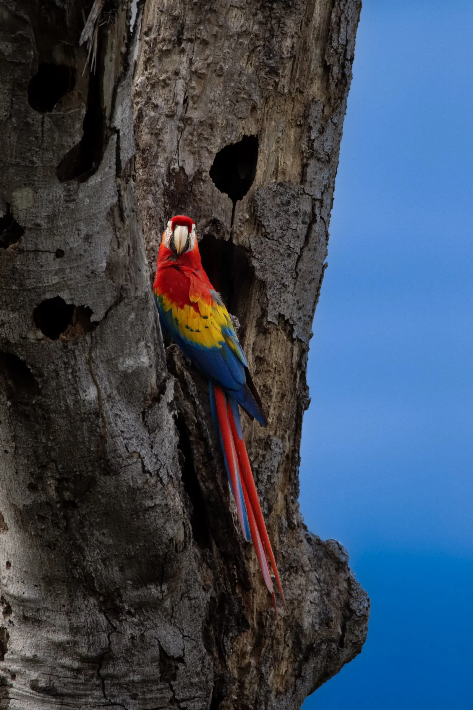 Carara National Park