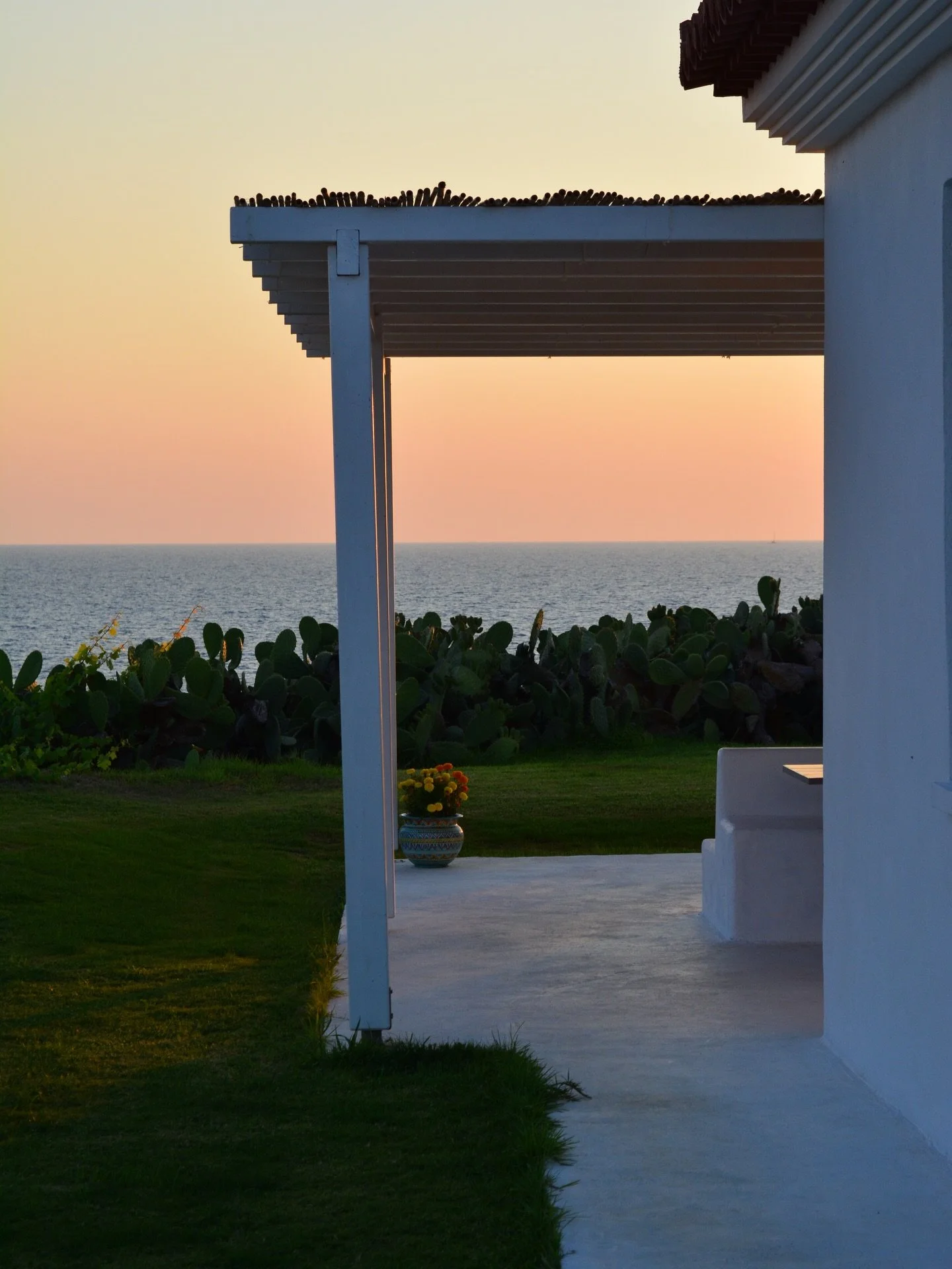 v excited to announce that my new website is now live!! photography and painting services have been updated. 
i also posted a review about something very bad is going to happen. 
pls go check it out and let me know what you think💋

#moviecritic #net