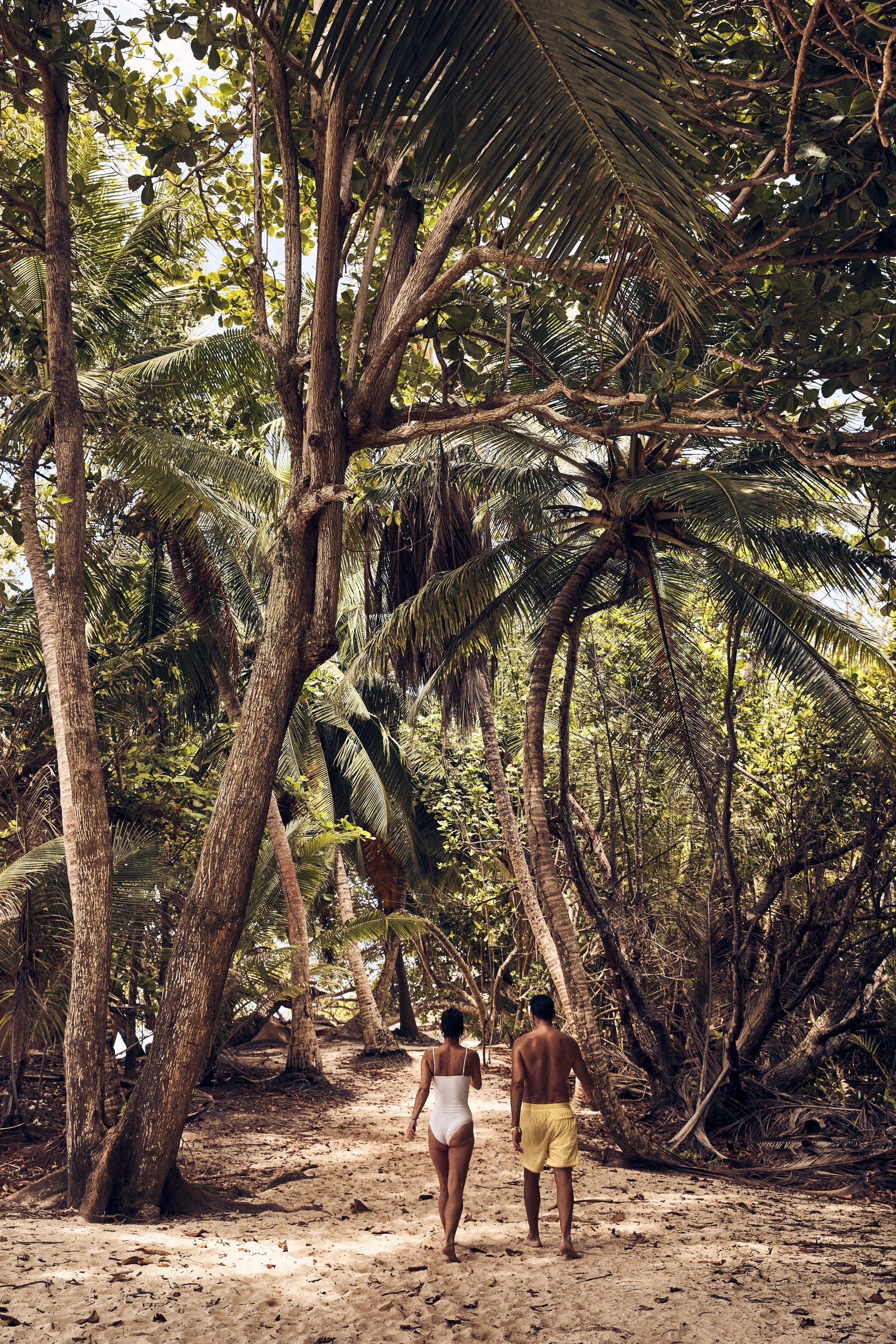 A man and woman walk on a sandy path in a tropical forest with large trees and lush greenery.
