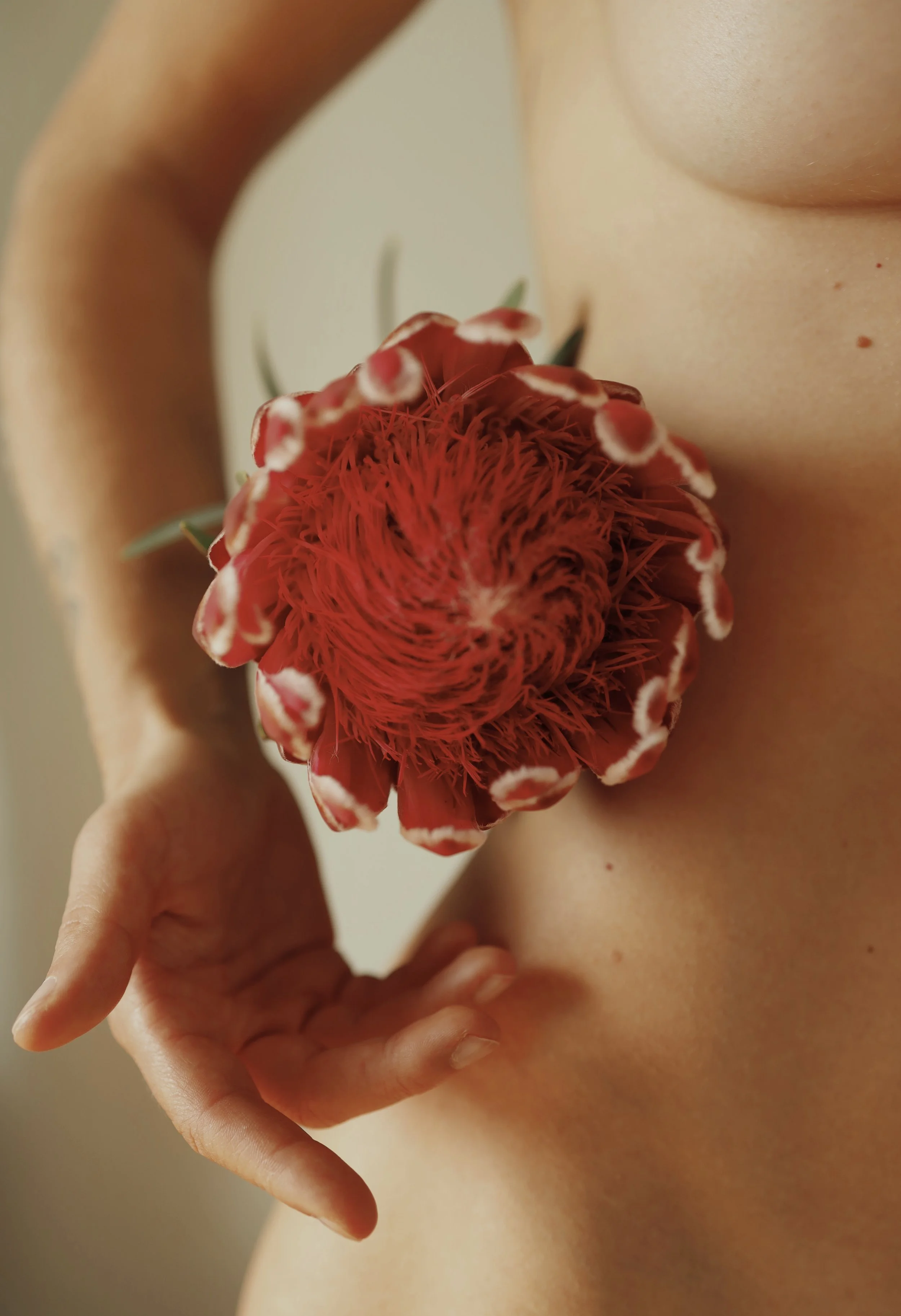 5L2A8047_VSCO.jpg