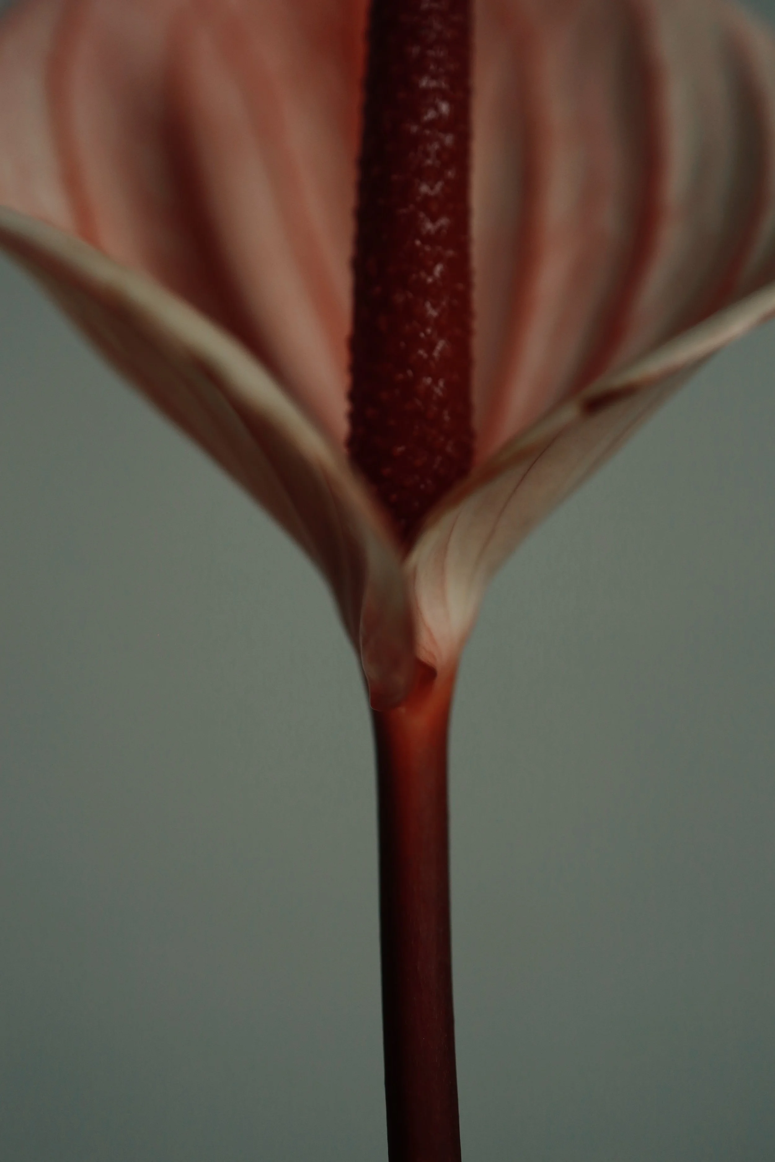 5L2A1555_VSCO.JPG