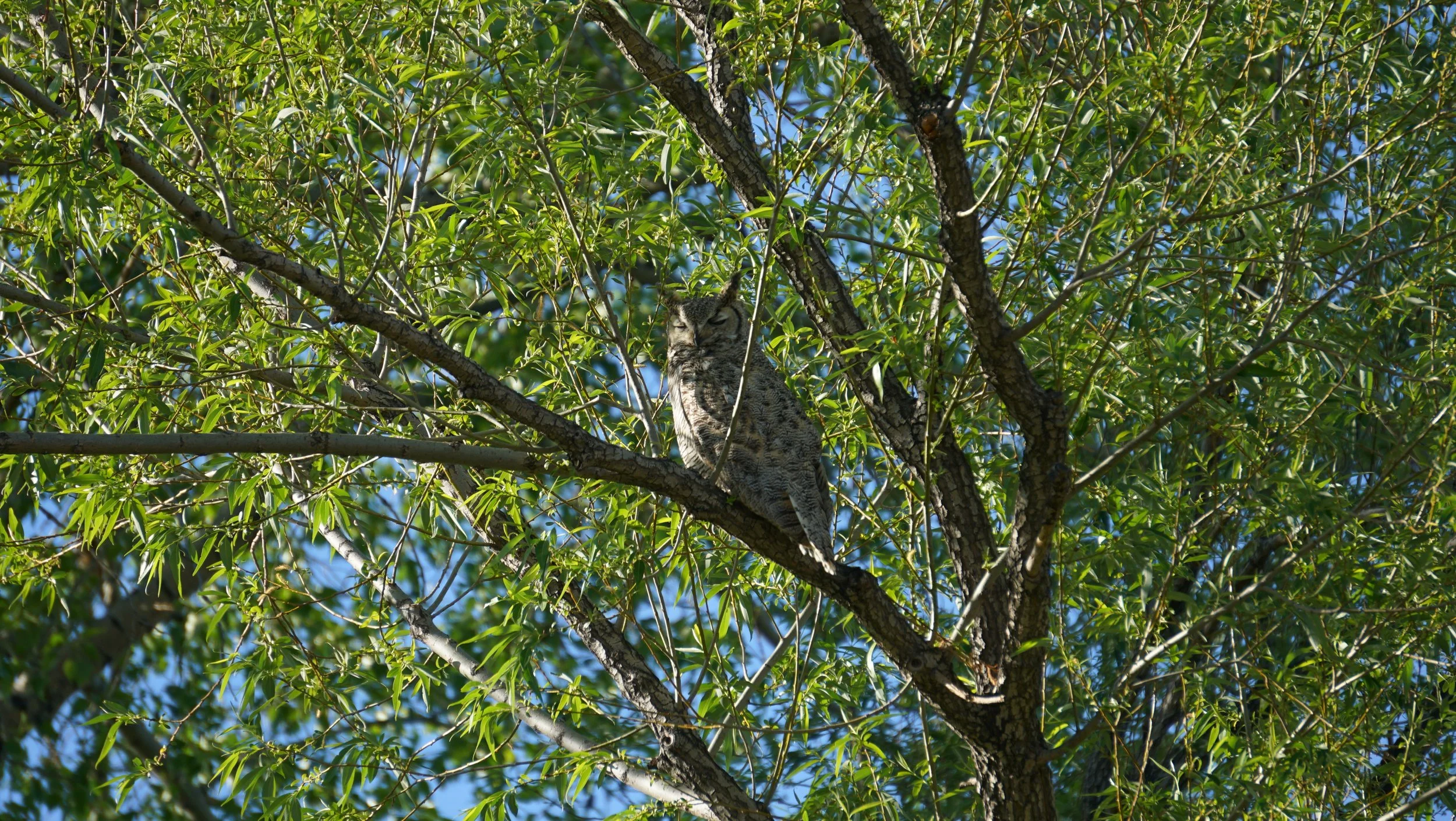 DSC03005.JPG