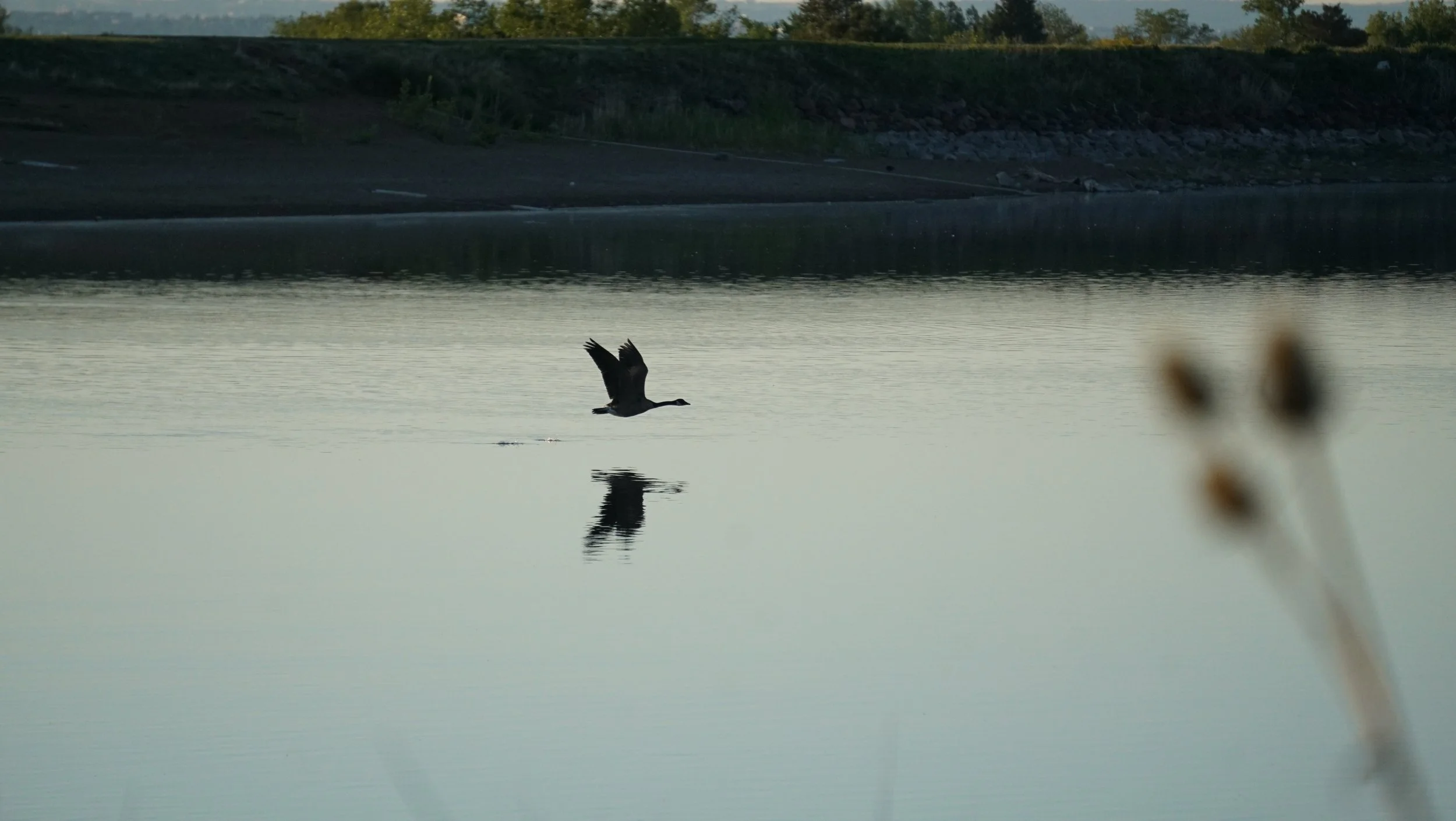 DSC02987.JPG