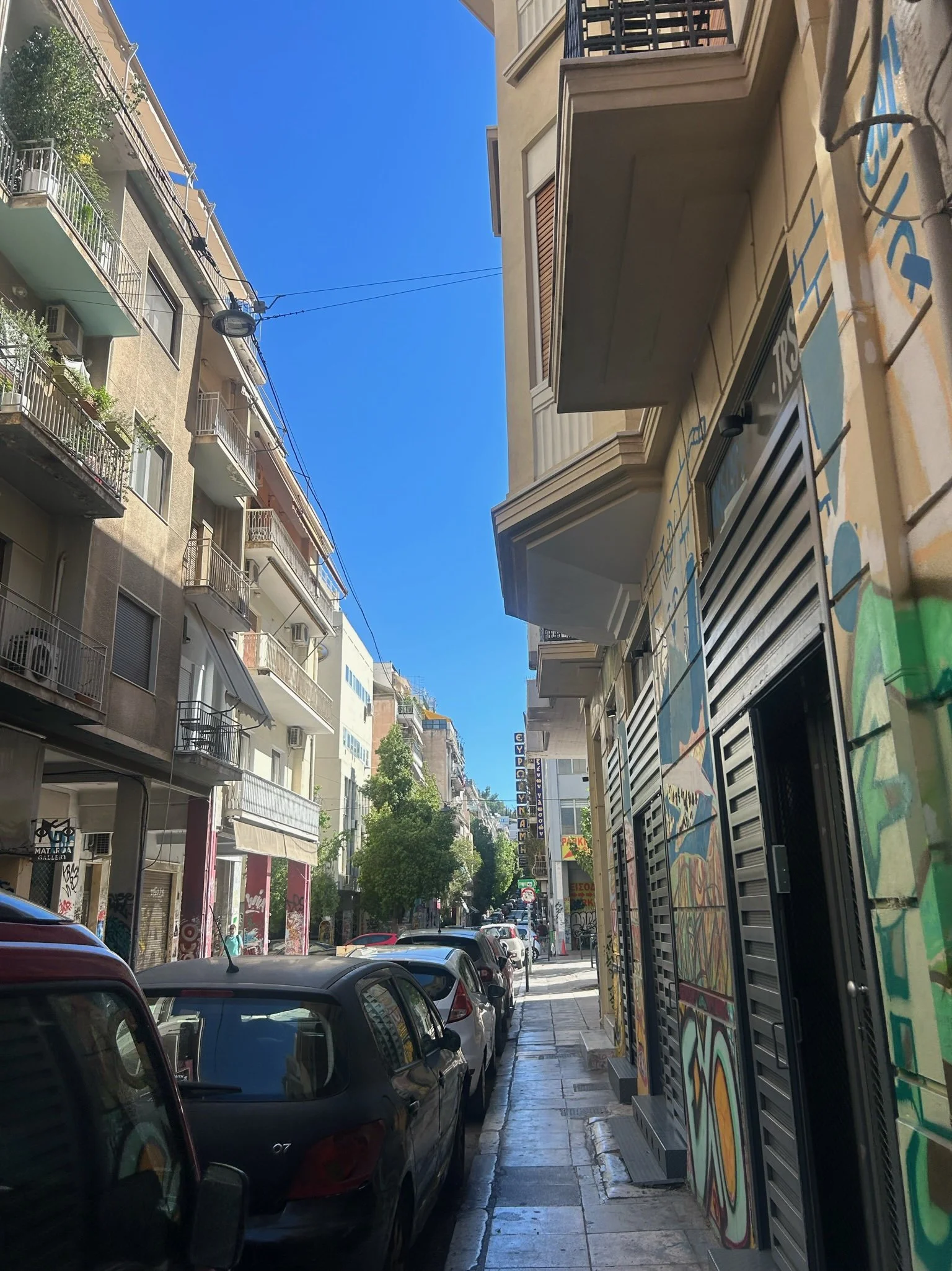 IMG_0146.jpeg