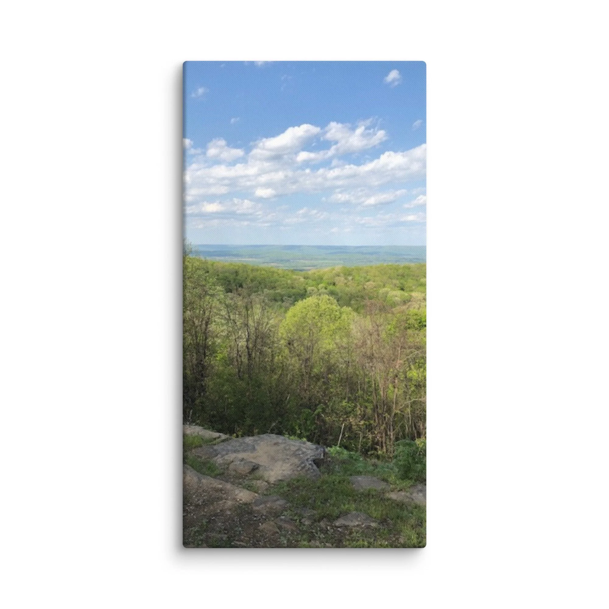 canvas-(in)-30x60-wall-69d42f07700d8.jpg