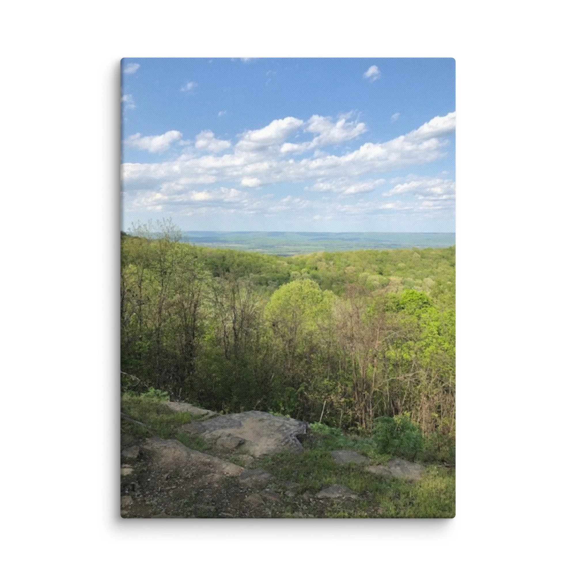 canvas-(in)-40x55-wall-69d42f077101b.jpg