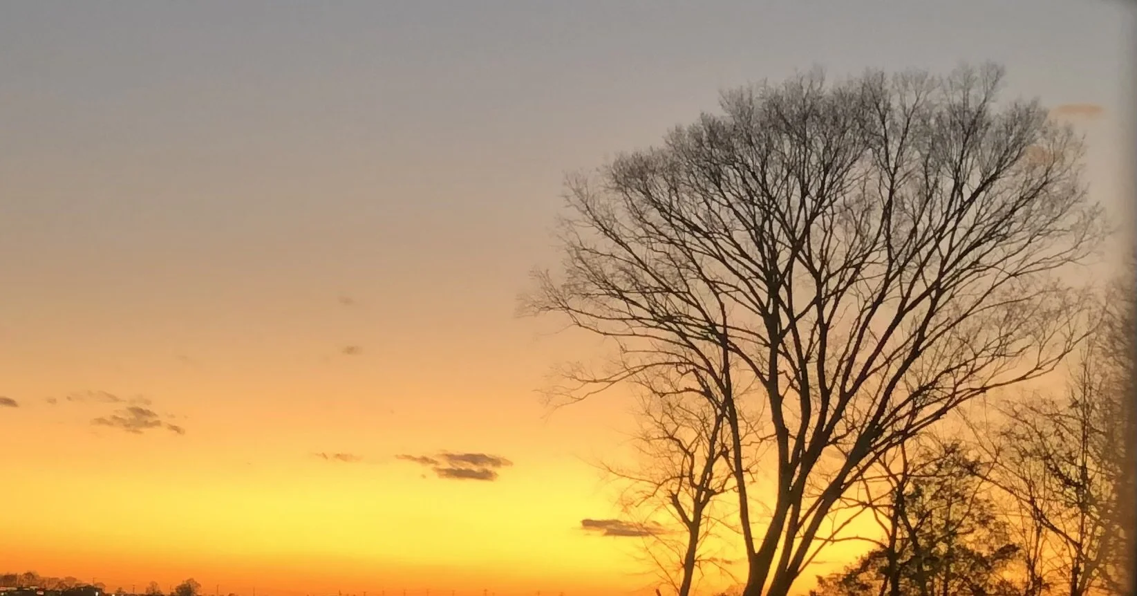 Bare trees silhouette against a colorful sunset sky with hues of orange, yellow, and purple.