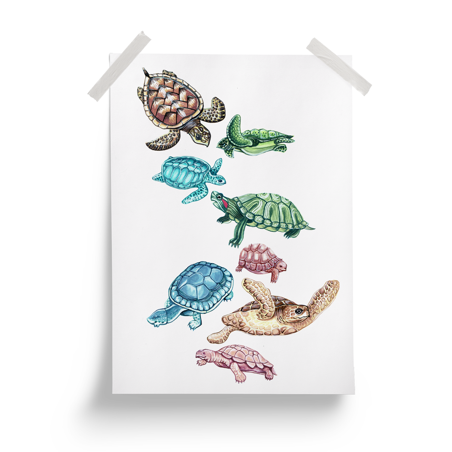 Turtles_Poster_MockUp.png