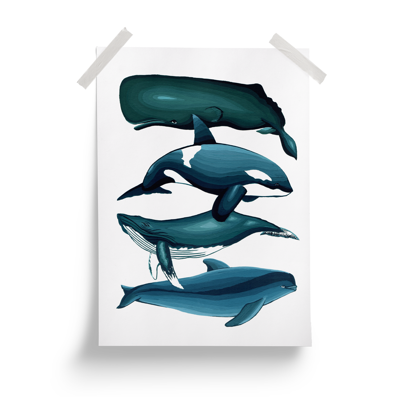 Whales_Poster_MockUp.png